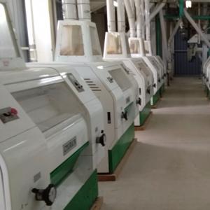 Wholesale 200T-300T/24H Industrial Flour Mill Wheat Flour Milling Plant from china suppliers