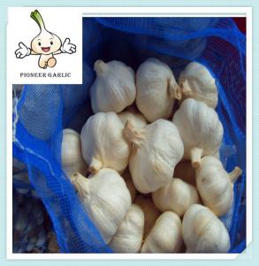 Wholesale (hot) fresh white garlic specification more than 5 cm/garlic from china suppliers
