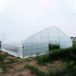 PE Plastic Film Greenhouse With Cooling System For Agriculture