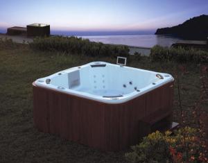 Wholesale Outdoor Spa MODEL:F17 from china suppliers