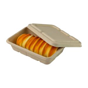 Wholesale Unbleached Recyclable Compostable Meal Prep Containers Takeout Sugarcane Paper from china suppliers