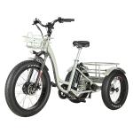 Front 24"x4.0 Wheel Electric Disabled Tricycle with Fat Tire and Black Color