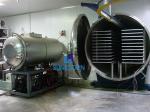 High Safety Industrial Freeze Dried Fruit Machine 6600*2100*2100mm