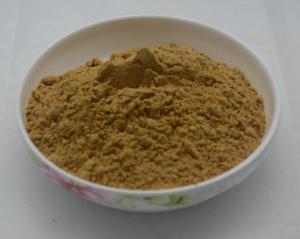 Wholesale graviola leaves extract,graviola guanabana liquid extract,graviola dry leaf extract from china suppliers
