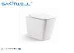 High end European Standard Wall Faced Toilet Ceramic Two Piece 545*360*410mm