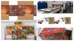 High Definition Flexo Printer Slotter Rotary Die Cutter With Stacker 220V/380V