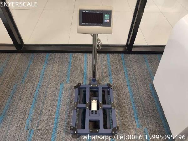 Digital Electronic Floor Bench Heavy-Duty Livestock and Medical Platform Scale