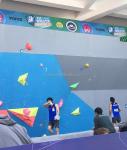 Large size bright green fast shipping wall holds for your climbing wall