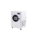 Small Mini Vacuum Freeze Drying Food Household Home Freeze Dryer for Sale