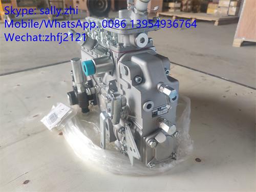 injection pump 4110000991002 /13053063 for Weichai Deutz TD226B WP6G125E22,