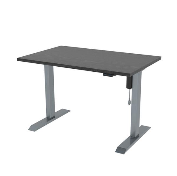 Electric Standing Computer Desk with Customization Options 80 kgs Weight