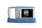 USB Diagnostic Ultrasound Equipment With OB Software For Animals And 100 Images