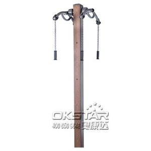 Wholesale outdoor exercise equipment WPC materials based Arm Extension Apparatus-LK-S06 from china suppliers