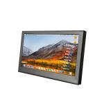 4.3 Inch LCD Monitor 800*480 Portable Monitor For Cell Phone