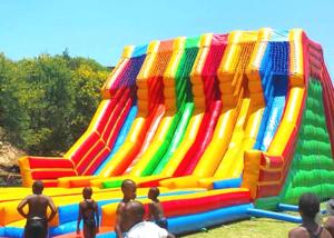 Wholesale Huge Shark Inflatable Slide With PVC Material / Blow Up Water Slide from china suppliers