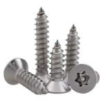 Torx Tamper Proof Self Tapping Screws